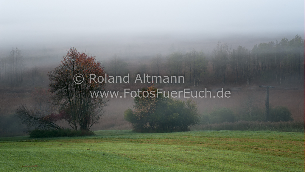 Preview 20141012_Roland_Altmann_7005899.jpg